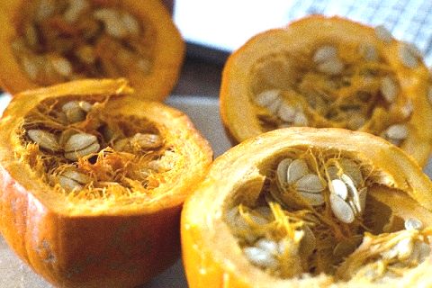 食べ 種 かぼちゃ 方 の かぼちゃの種の栄養価や効果効能と上手な食べ方