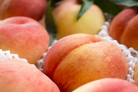 桃の旬の時期はいつ お値段はどれくらい 桃の種類の違いによる価格をチェック 食う寝る暮らす
